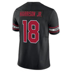 Johmsee A.Cardinals #18 Marvin Harrison Jr. Player Black Vapor F.U.S.E. Limited Stitched Jerseys