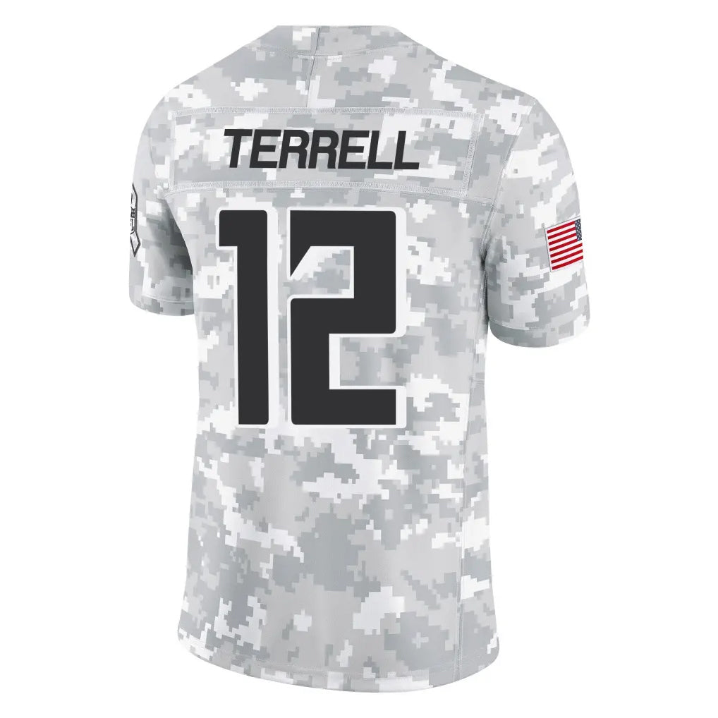 Johmsee A.Falcons #12 Avieon Terrell Player Arctic Camo Salute to Service Limited Stitched Jerseys