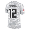 Johmsee A.Falcons #12 Avieon Terrell Player Arctic Camo Salute to Service Limited Stitched Jerseys