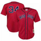 Johmsee B.Red Sox #34 David Ortiz Player Red Mitchell & Ness Cooperstown Collection Mesh Home Stitched Jerseys