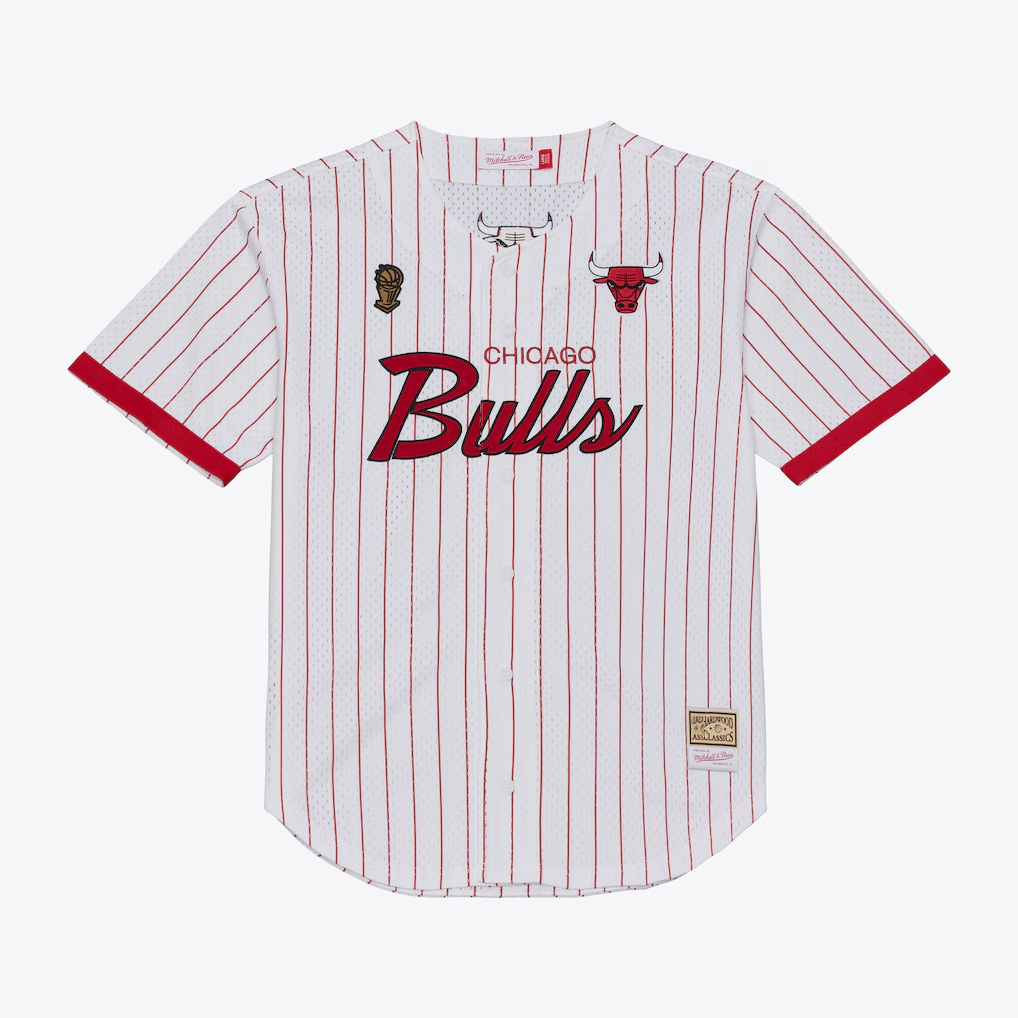 Johmsee C.Bulls Mitchell & Ness White Head Coach Pinstripe Mesh Full-Button Baseball Jerseys