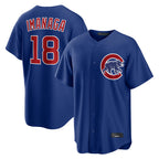 Johmsee C.Cubs #18 Shota Imanaga Player Royal Home Game Stitched Jerseys
