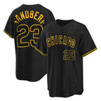 Johmsee C.Cubs #23 Ryne Sandberg Player Black Snake Skin City Game Stitched Jerseys