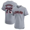Johmsee C.Guardians #75 Connor Brogdon Player Gray Road Limited Elite Home Stitched Jerseys