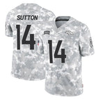 Johmsee D.Broncos #14 Courtland Sutton Player Arctic Camo Salute To Service Limited Stitched Jerseys