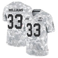 Johmsee GB.Packers #33 Evan Williams Player Arctic Camo Salute To Service Limited Stitched Jerseys