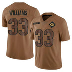 Johmsee GB.Packers #33 Evan Williams Player Brown Salute To Service Limited Stitched Jerseys