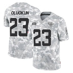 Johmsee J.Jaguars #23 Foyesade Oluokun Player Arctic Camo Salute To Service Limited Game Stitched Jerseys