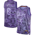 Johmsee LA.Lakers #8 LeBron James Purple Select Series Swingman Stitched Jerseys