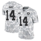 Johmsee LV.Raiders #14 Matt Gay Player Arctic Camo Salute To Service Limited Game Stitched Jerseys