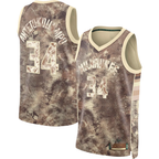 Johmsee M.Bucks #34 Giannis Antetokounmpo Brown Select Series Swingman Jerseys