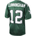 Johmsee P.Eagles 1992 #12 Randall Cunningham Mitchell & Ness Green Authentic Throwback Retired Player Stitched Puhic Jersey