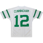 Johmsee P.Eagles 1994 #12 Randall Cunningham Mitchell & Ness White Authentic Throwback Retired Player Stitched Puhic Jersey