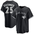 Johmsee T.Blue Jays #25 Anthony Santander Player Black City Connect Limited Stitched Jerseys