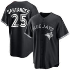 Johmsee T.Blue Jays #25 Anthony Santander Player Black City Connect Limited Stitched Jerseys