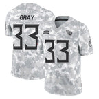 Johmsee T.Titans #33 Cedric Gray Player Arctic Camo Limited Salute to Service Home Game Stitched Jerseys
