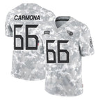 Johmsee T.Titans #66 Fernando Carmona Jr. Player Arctic Camo Limited Salute to Service Home Game Stitched Jerseys